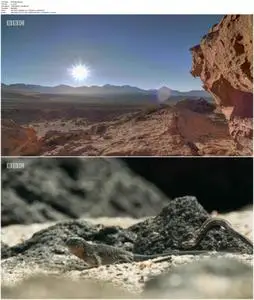 Planet Earth: A Celebration (2020)