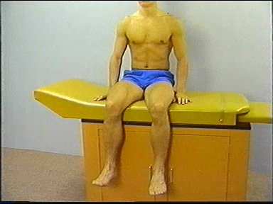 Physical Examination of the Musculoskeletal System (1987)