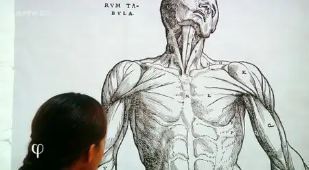 (Arte) Philosophie : Maladie (2014)