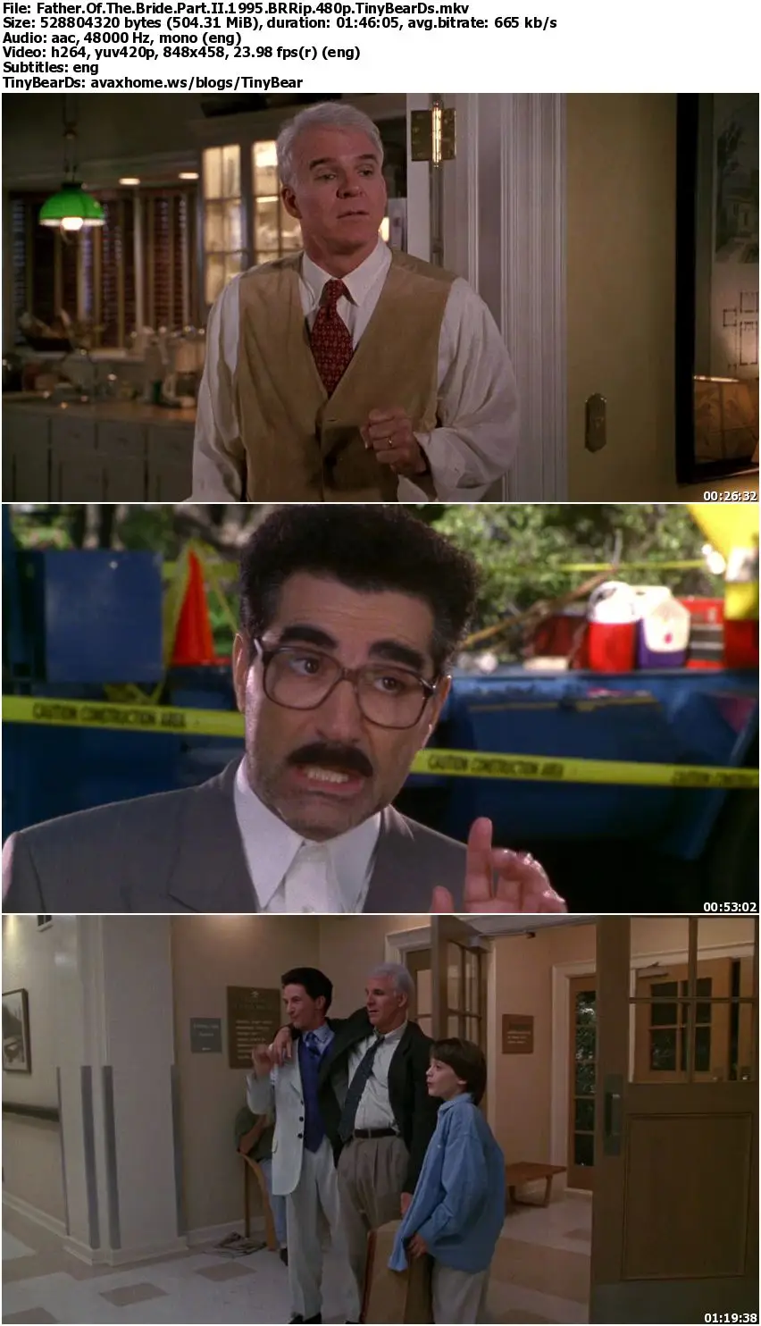 Father Of The Bride II (1995)