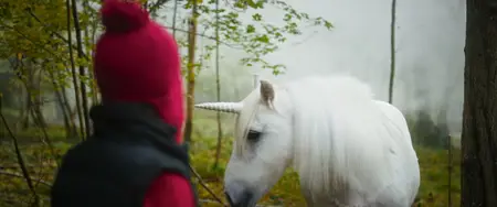 Tale of the Forest Unicorn (2025)