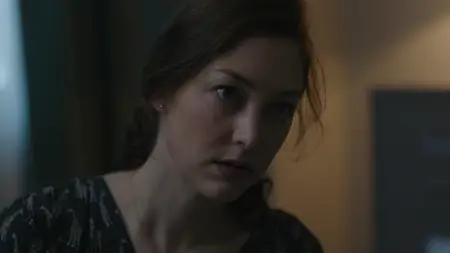 The Bridge S04E03