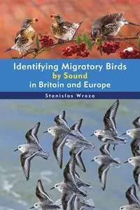 Identifying Migratory Birds by Sound in Britain and Europe