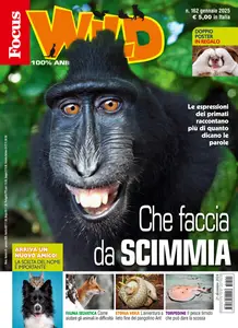 Focus Wild - Gennaio 2025