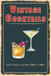 Vintage Cocktails: A Sip Through Time from 1500s to 1900s