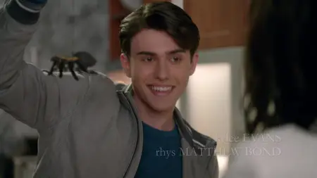 Good Witch S04E00