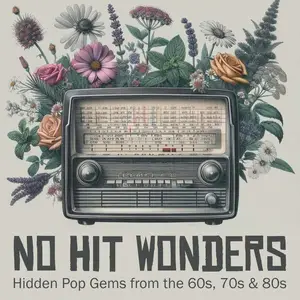 VA - No Hit Wonders - Hidden Pop Gems from the 60s, 70s & 80s (2025)