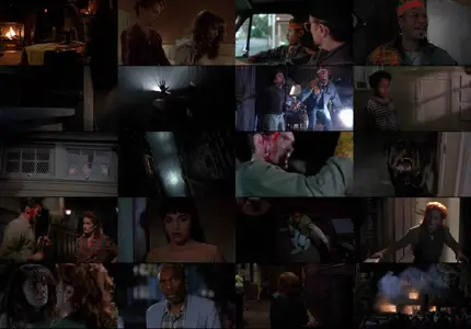 The People Under the Stairs (1991)