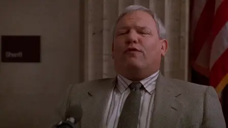 The Fugitive (1993)