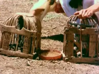 Yılmaz Güney-Sürü ('The Herd') (1978)