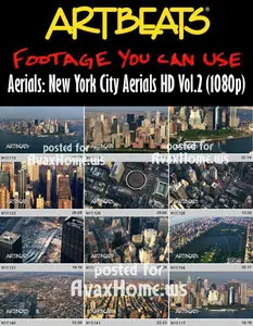 Artbeats Aerials: New York City Aerials HD Vol.2 (1080p)