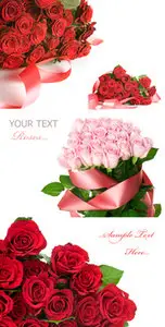 Stock Photo - Roses