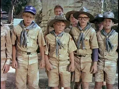 Follow Me, Boys! (1966)