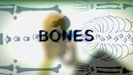 Bones S12E02