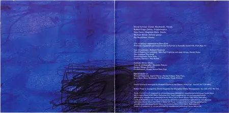 David Sylvian & Robert Fripp - Damage (1994) {2014 DGM Remaster}