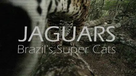 BBC Natural World - Jaguars: Brazil's Super Cats (2016)