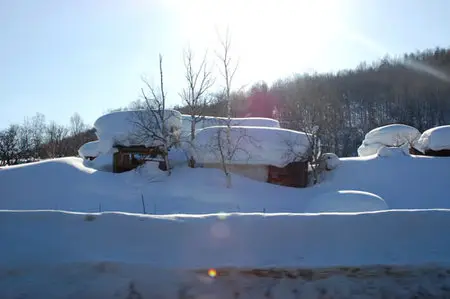 Island Sakhalin