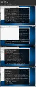 Web Hacking: WordPress Penetration Testing and Security