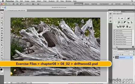 Photoshop CS5: Selections in Depth