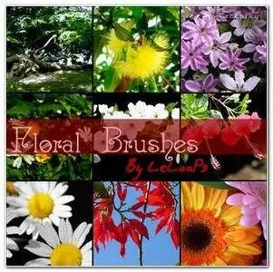 PHOTOSHOP BRUSHES 2 in1