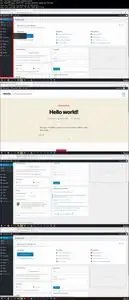 Make Professional WordPress Website - Less than 1 Hour