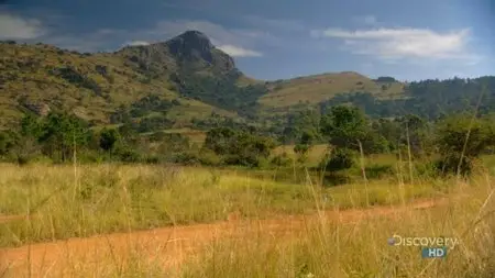 Discovery Channel - Austin Stevens Adventures: In the Shadow of Armoured Giants (2008)