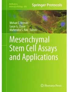 Mesenchymal Stem Cell Assays and Applications