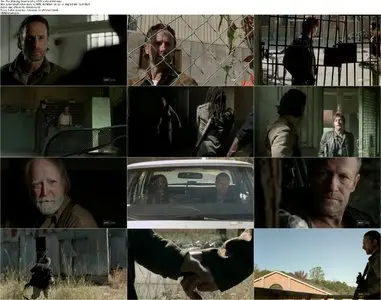 The Walking Dead S03E15