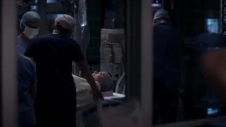 Grey's Anatomy S11E14