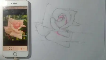 Draw A Pink Rose In 5 Easy Steps.