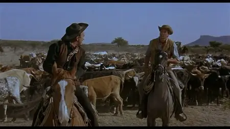 The Last Sunset (1961)