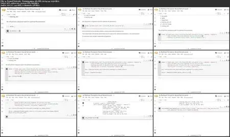 Neural Networks for Classification: Data Science in Python