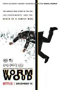 Wormwood S01 (2017) [Complete Season]