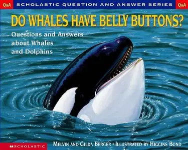 Scholastic Q&A: Do Whales Have Belly Buttons?