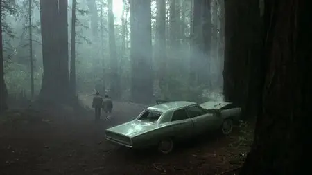 Shattered (1991)