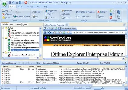 MetaProducts Offline Explorer Enterprise 6.9.4198 SR3 Portable