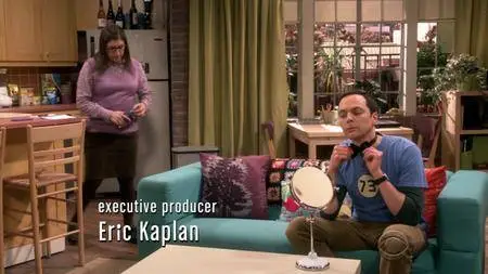 The Big Bang Theory S11E24