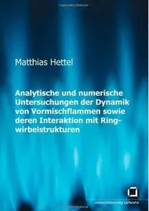 Analytische und numerische Untersuchungen der Dynamik von Vormischflammen sowie deren Interaktion mit ... [Repost]