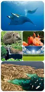 Wallpapers - Nature and animals 17