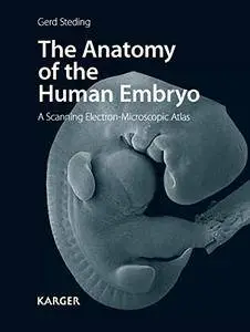 Anatomy of the Human Embryo, The