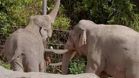 Zoo S04E01