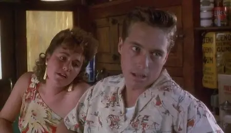 In the Mood (1987)