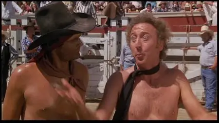 Stir Crazy (1980)