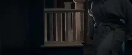 In Fabric (2019)