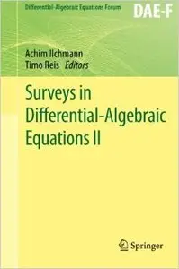 Surveys in Differential-Algebraic Equations II