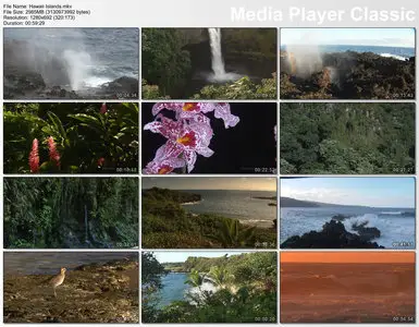 Living Landscapes: Hawaii