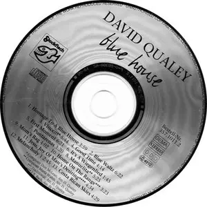 David Qualey - Blue House [Stockfisch Records SFR 357.1011.2] (1995)