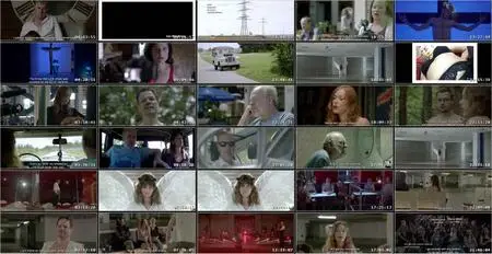 Taste of Life (2017)