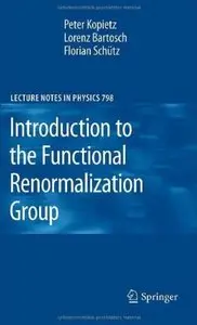 Introduction to the Functional Renormalization Group [Repost]