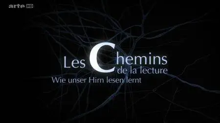 (Arte) Les chemins de la lecture (2016)